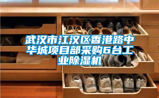 武漢市江漢區香港路中華城項目部采購6臺工業(yè)除濕機