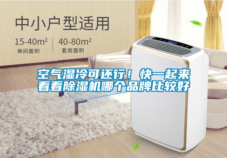 空氣濕冷可還行！快一起來(lái)看看除濕機哪個(gè)品牌比較好