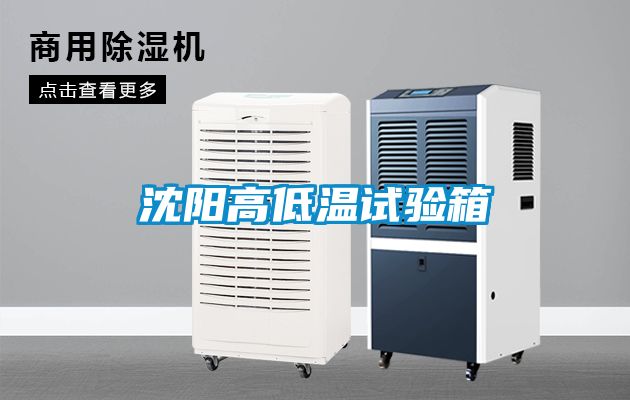 沈陽(yáng)高低溫試驗箱