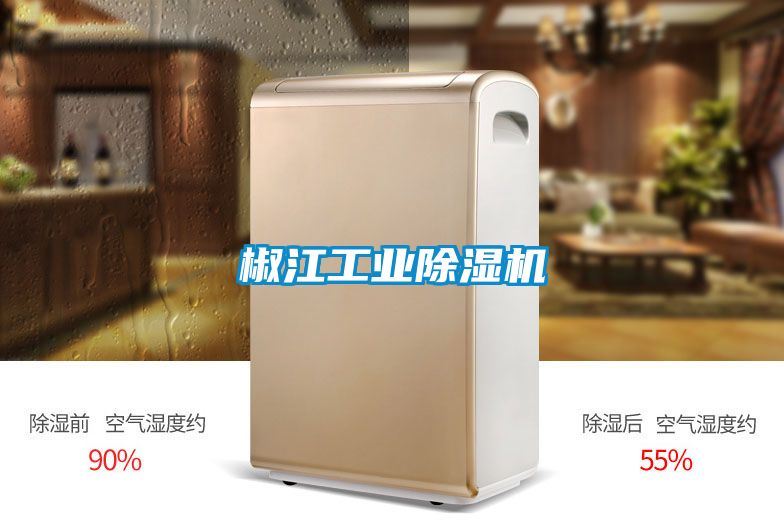 椒江工業(yè)除濕機