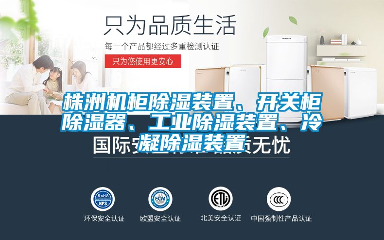 株洲機柜除濕裝置、開(kāi)關(guān)柜除濕器、工業(yè)除濕裝置、冷凝除濕裝置