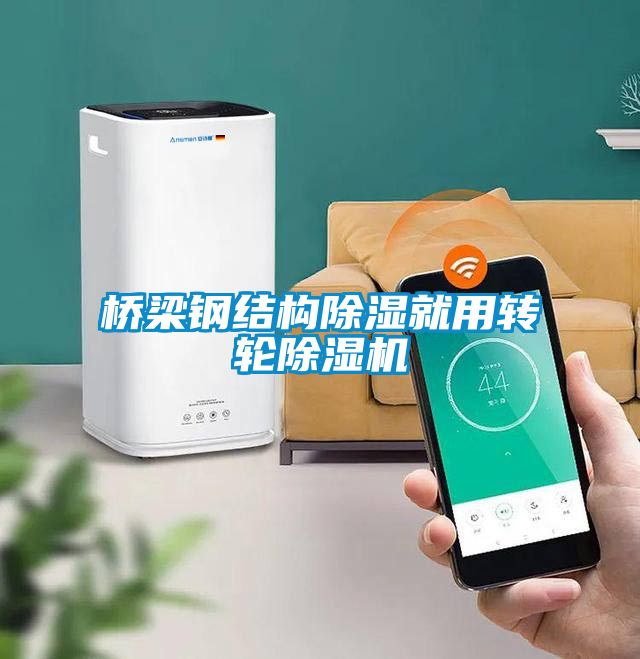 橋梁鋼結構除濕就用轉輪除濕機