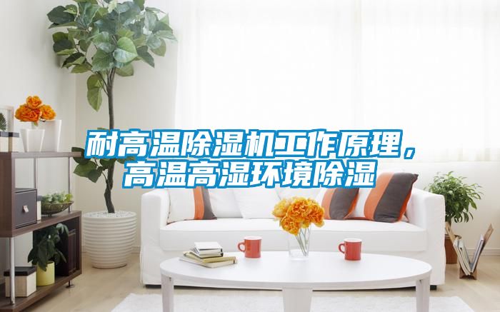 耐高溫除濕機工作原理，高溫高濕環(huán)境除濕