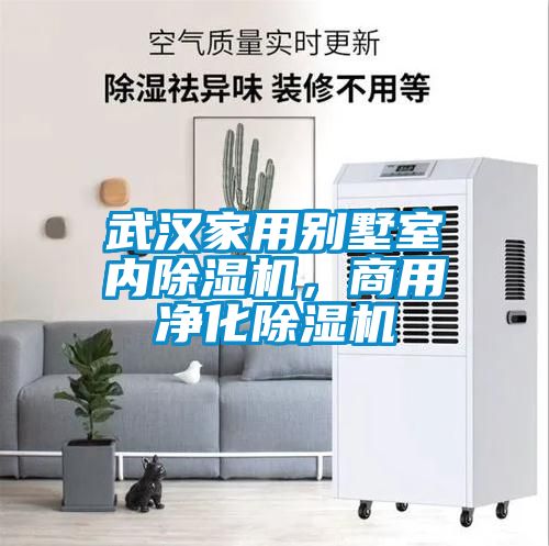 武漢家用別墅室內除濕機，商用凈化除濕機