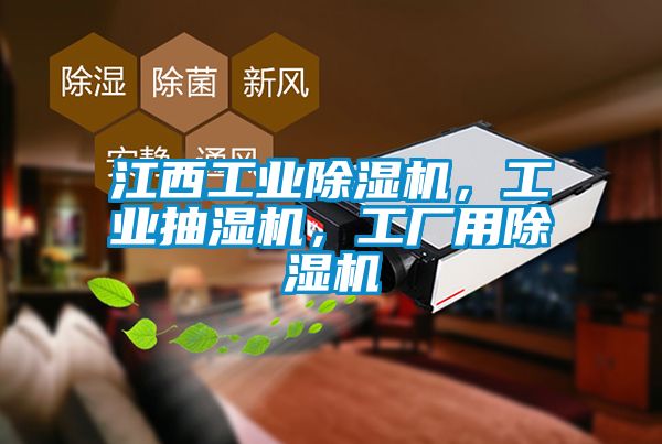 江西工業(yè)除濕機，工業(yè)抽濕機，工廠(chǎng)用除濕機