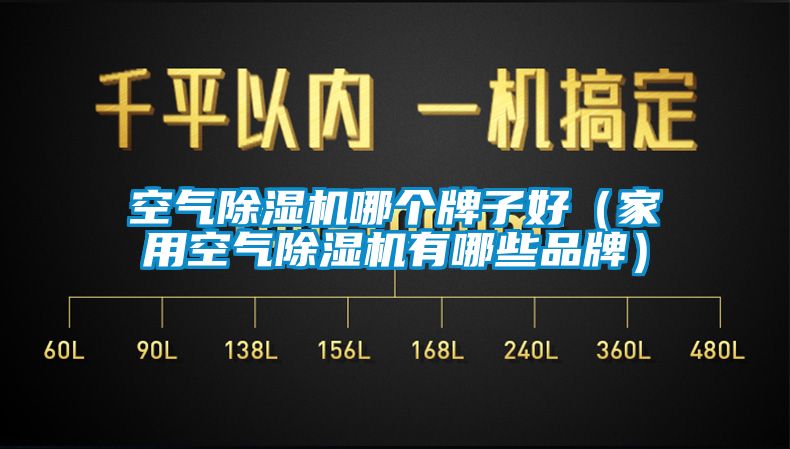 空氣除濕機哪個(gè)牌子好（家用空氣除濕機有哪些品牌）