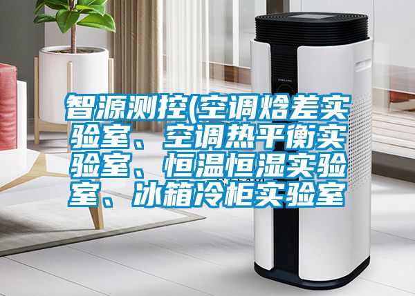 智源測控(空調焓差實(shí)驗室、空調熱平衡實(shí)驗室、恒溫恒濕實(shí)驗室、冰箱冷柜實(shí)驗室