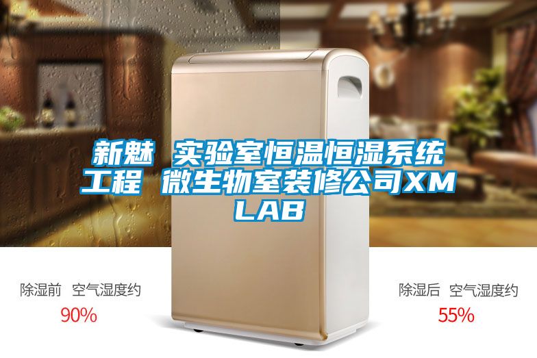 新魅 實(shí)驗室恒溫恒濕系統工程 微生物室裝修公司XMLAB