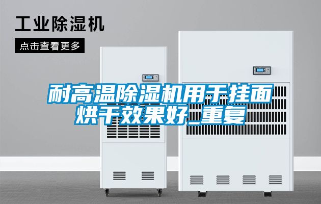 耐高溫除濕機用于掛面烘干效果好_重復