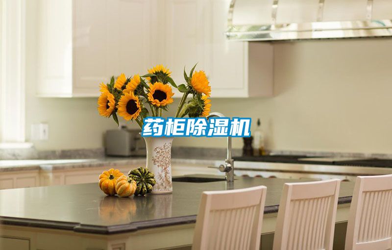 藥柜除濕機