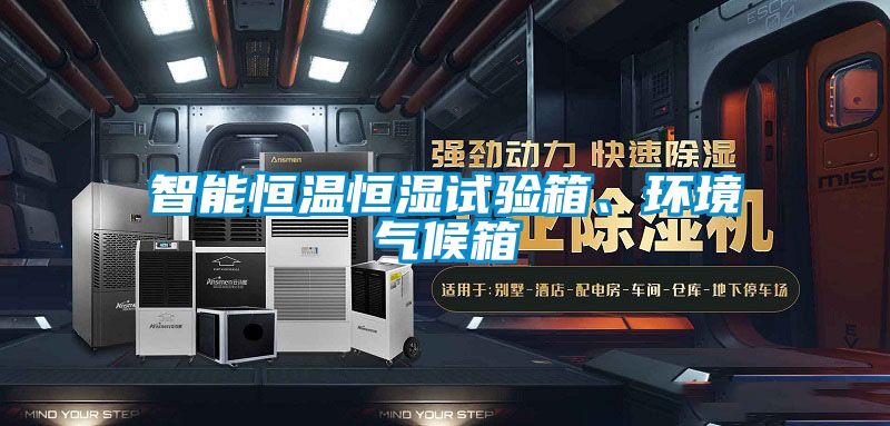 智能恒溫恒濕試驗箱、環(huán)境氣候箱