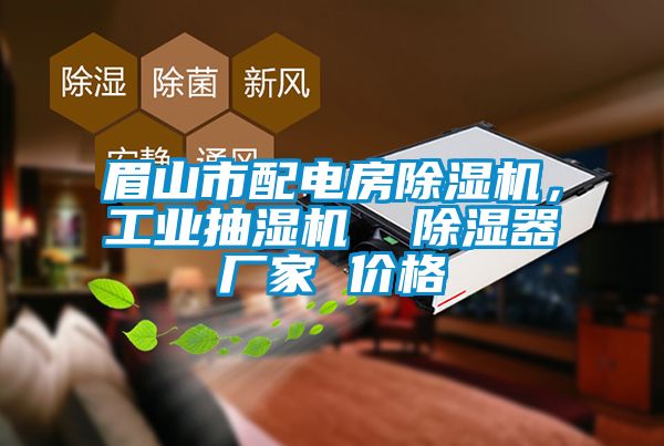 眉山市配電房除濕機，工業(yè)抽濕機  除濕器廠(chǎng)家 價(jià)格
