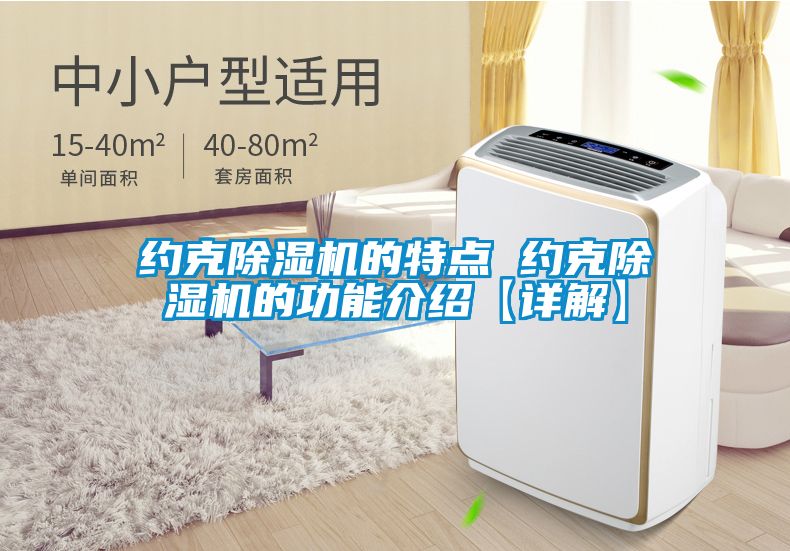 約克除濕機的特點(diǎn) 約克除濕機的功能介紹【詳解】