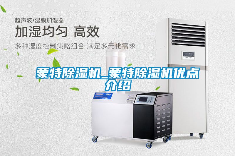蒙特除濕機_蒙特除濕機優(yōu)點(diǎn)介紹