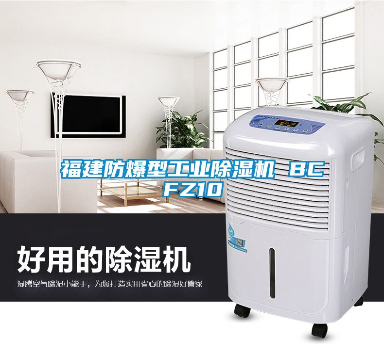 福建防爆型工業(yè)除濕機 BCFZ10