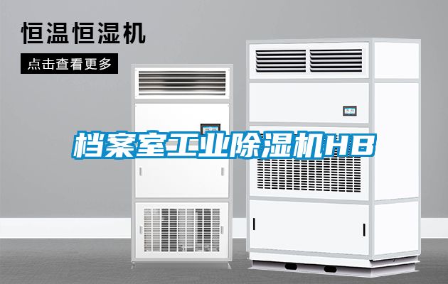 檔案室工業(yè)除濕機HB