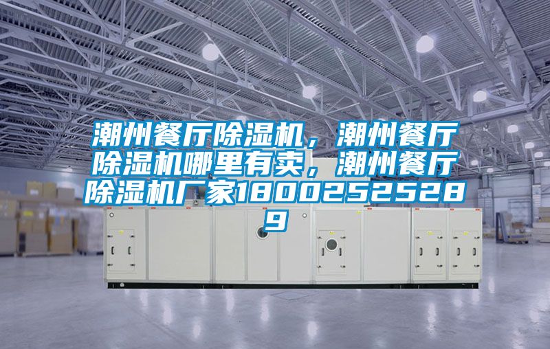 潮州餐廳除濕機，潮州餐廳除濕機哪里有賣(mài)，潮州餐廳除濕機廠(chǎng)家18002525289