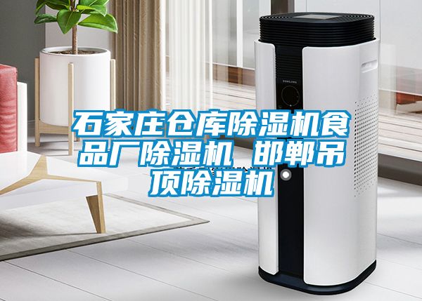石家莊倉庫除濕機食品廠(chǎng)除濕機 邯鄲吊頂除濕機