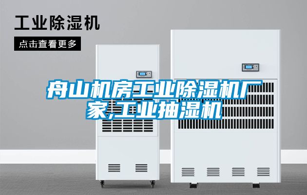 舟山機房工業(yè)除濕機廠(chǎng)家,工業(yè)抽濕機