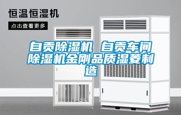 自貢除濕機 自貢車(chē)間除濕機金剛品質(zhì)濕菱制造