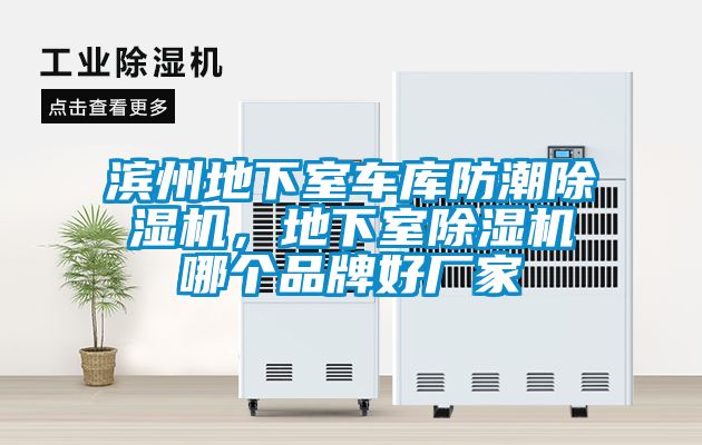 濱州地下室車(chē)庫防潮除濕機，地下室除濕機哪個(gè)品牌好廠(chǎng)家