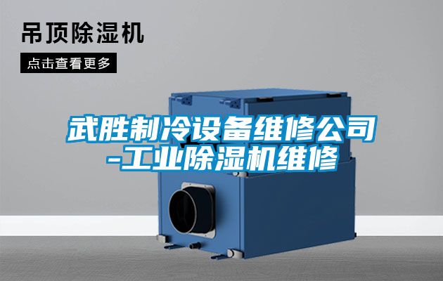 武勝制冷設備維修公司-工業(yè)除濕機維修