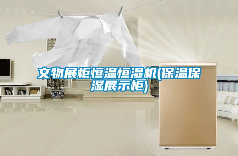 文物展柜恒溫恒濕機(保溫保濕展示柜)