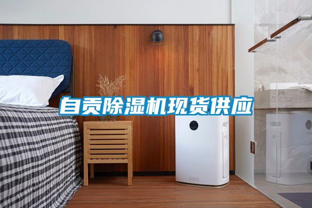 自貢除濕機現貨供應
