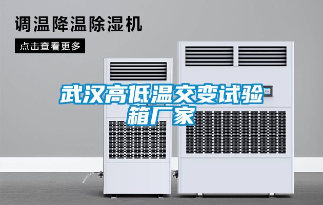 武漢高低溫交變試驗箱廠(chǎng)家