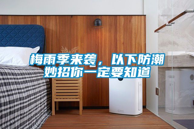 梅雨季來(lái)襲，以下防潮妙招你一定要知道