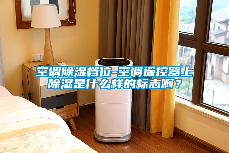 空調除濕檔位-空調遙控器上除濕是什么樣的標志??？