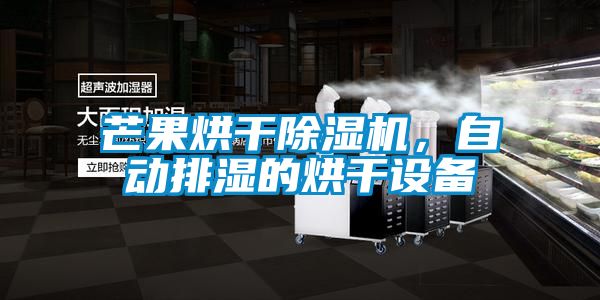 芒果烘干除濕機，自動(dòng)排濕的烘干設備