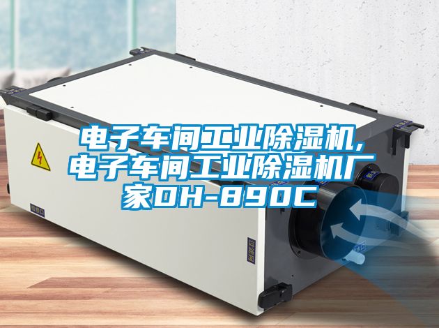 電子車(chē)間工業(yè)除濕機,電子車(chē)間工業(yè)除濕機廠(chǎng)家DH-890C