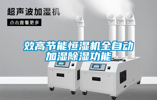 效高節能恒濕機全自動(dòng)加濕除濕功能