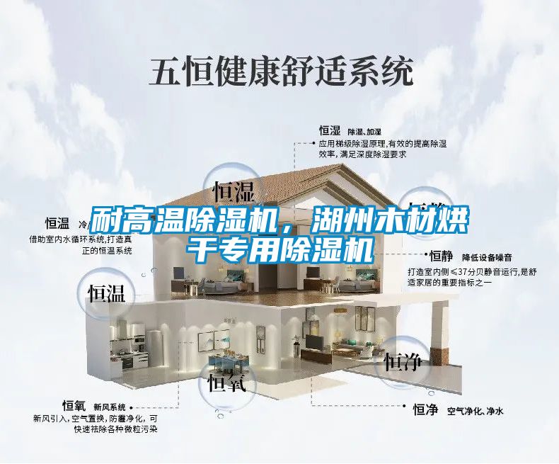 耐高溫除濕機，湖州木材烘干專(zhuān)用除濕機