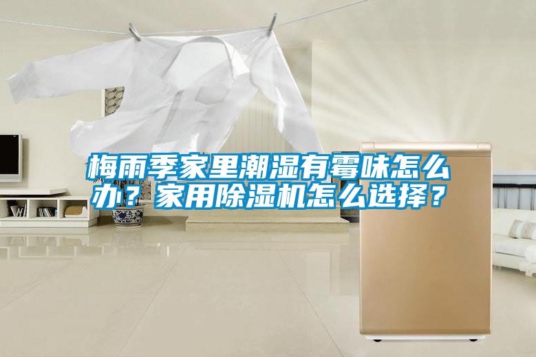 梅雨季家里潮濕有霉味怎么辦？家用除濕機怎么選擇？