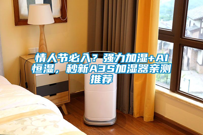 情人節必入？強力加濕+AI恒濕，秒新A3S加濕器親測推薦
