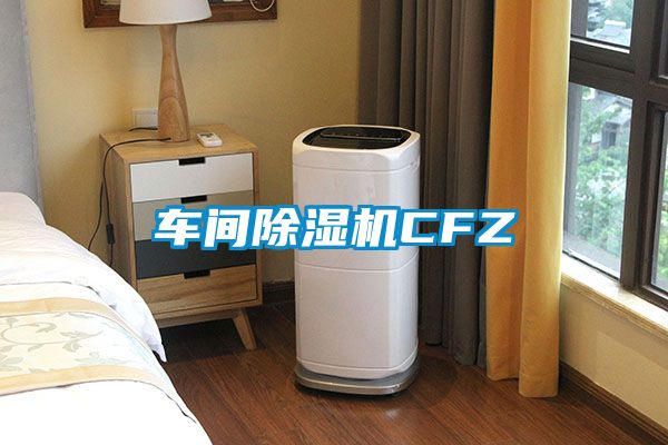 車(chē)間除濕機CFZ