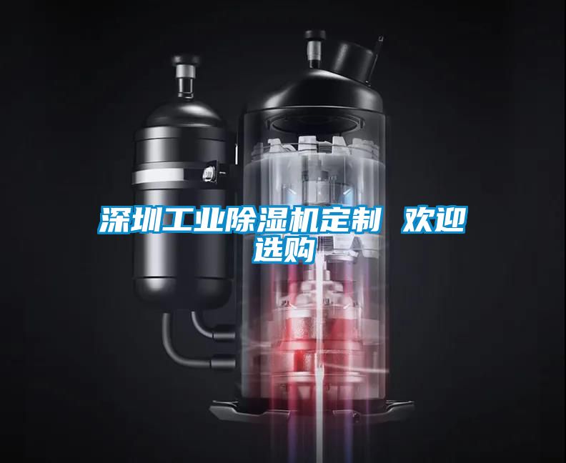 深圳工業(yè)除濕機定制 歡迎選購
