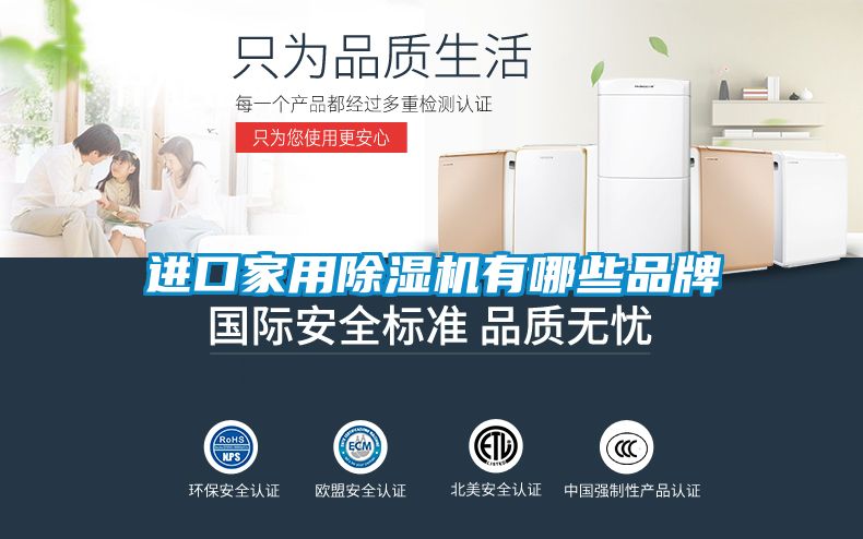 進(jìn)口家用除濕機有哪些品牌