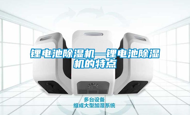 鋰電池除濕機—鋰電池除濕機的特點(diǎn)