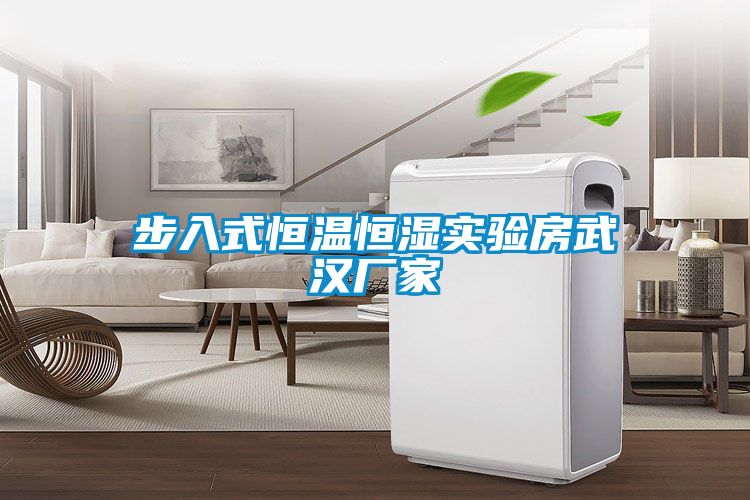 步入式恒溫恒濕實(shí)驗房武漢廠(chǎng)家