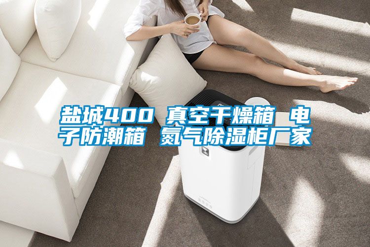 鹽城400℃真空干燥箱 電子防潮箱 氮氣除濕柜廠(chǎng)家