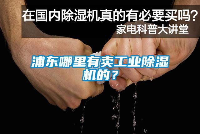 浦東哪里有賣(mài)工業(yè)除濕機的？