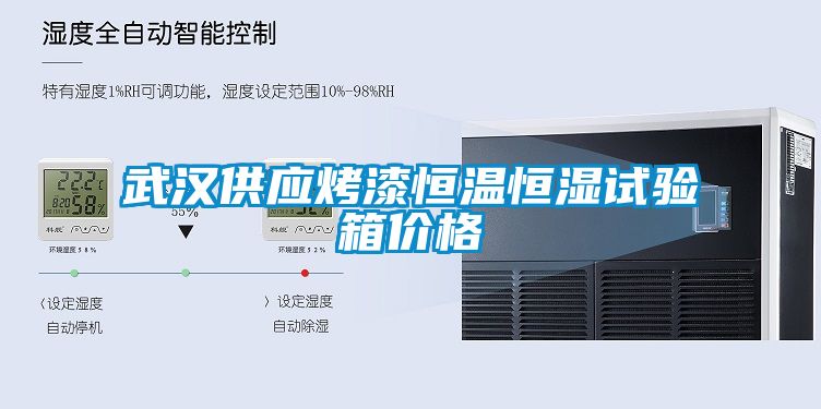 武漢供應烤漆恒溫恒濕試驗箱價(jià)格