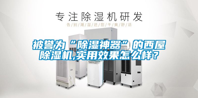 被譽(yù)為“除濕神器”的西屋除濕機,實(shí)用效果怎么樣？