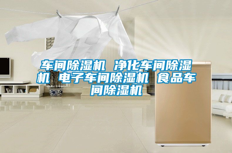 車(chē)間除濕機 凈化車(chē)間除濕機 電子車(chē)間除濕機 食品車(chē)間除濕機