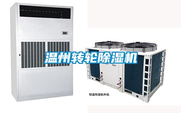 溫州轉輪除濕機