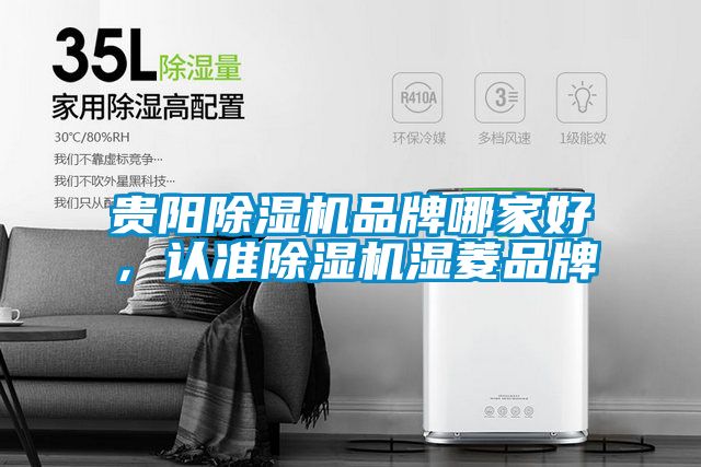貴陽(yáng)除濕機品牌哪家好，認準除濕機濕菱品牌