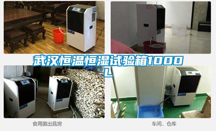 武漢恒溫恒濕試驗箱1000L
